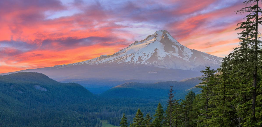 Shop Brighton: Walt Whitman Mall & Online Accessory Sales